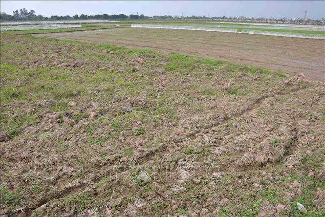  

Gây quỹ hỗ trợ phụ nữ từ những thửa ruộng hoang 